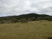 Kariega Nationalpark