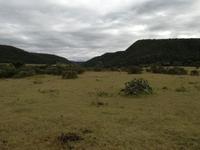 Kariega Nationalpark