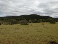 Kariega Nationalpark