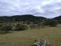 Kariega Nationalpark