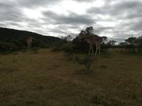 Kariega Nationalpark