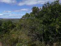 Kariega Nationalpark