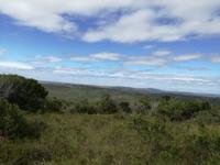 Kariega Nationalpark