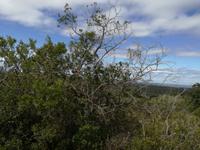 Kariega Nationalpark