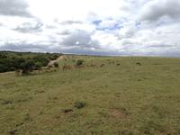 Kariega Nationalpark