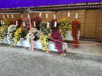 Japan Nikko-Nationalpark