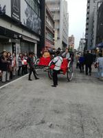 Japan Meiji- Schrein