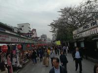 Japan Meiji- Schrein