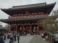 Japan Meiji- Schrein