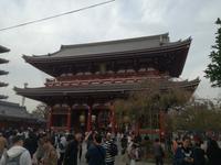 Japan Meiji- Schrein