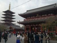 Japan Meiji- Schrein