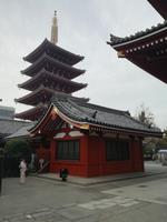 Japan Meiji- Schrein