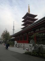 Japan Meiji- Schrein