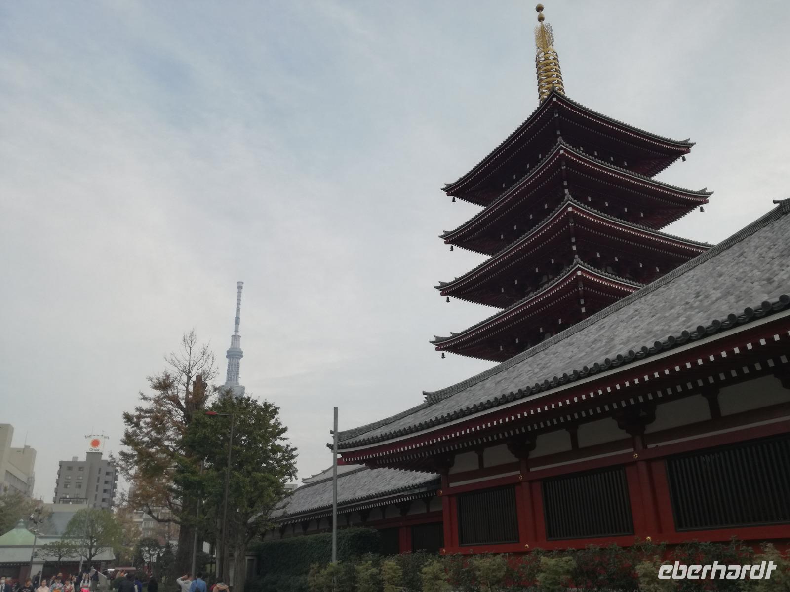 Japan Meiji- Schrein