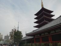 Japan Meiji- Schrein