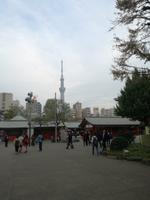 Japan Meiji- Schrein