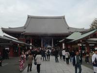 Japan Meiji- Schrein