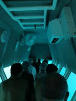 Australien Katamaran-Tour Great Barrier Reef