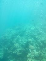 Australien Katamaran-Tour Great Barrier Reef