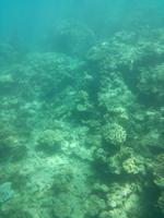 Australien Katamaran-Tour Great Barrier Reef