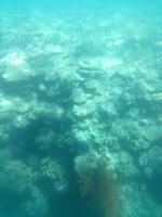 Australien Katamaran-Tour Great Barrier Reef