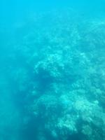 Australien Katamaran-Tour Great Barrier Reef