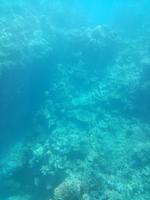 Australien Katamaran-Tour Great Barrier Reef