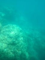 Australien Katamaran-Tour Great Barrier Reef