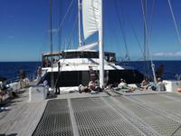 Australien Katamaran-Tour Great Barrier Reef