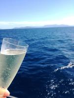 Australien Katamaran-Tour Great Barrier Reef