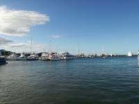 Australien Katamaran-Tour Great Barrier Reef