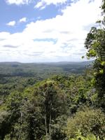 Australien Kuranda