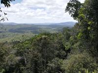 Australien Kuranda