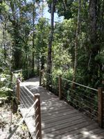Australien Kuranda