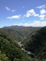 Australien Kuranda