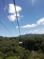 Australien Kuranda