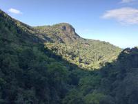 Australien Kuranda