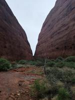 Australien Uluru-Nationalpark