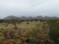 Australien Uluru-Nationalpark