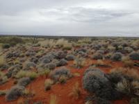 Australien Uluru-Nationalpark