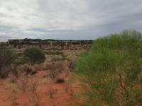 Australien Uluru-Nationalpark