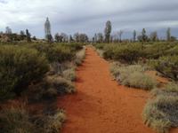 Australien Uluru-Nationalpark
