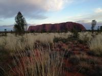 Australien Sonnenuntergang Ayers Rock