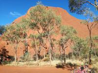 Australien Spaziergang Ayers Rock