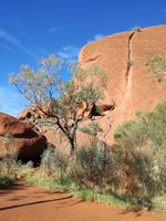 Australien Spaziergang Ayers Rock