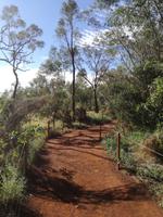 Australien Spaziergang Ayers Rock