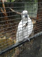 Australien Featherdale Wildlife Park