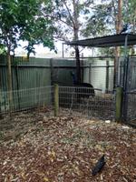 Australien Featherdale Wildlife Park