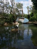 Australien Featherdale Wildlife Park