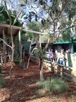 Australien Featherdale Wildlife Park